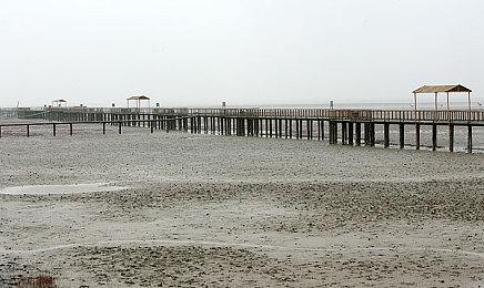 《红色沙漠》12分钟演示 Steam国区268元、支持中配